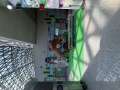 image5.jpeg